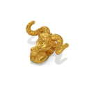 Ram Charm