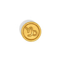 Capricorn Zodiac Charm