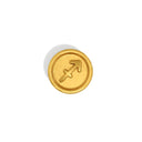 Sagittarius Zodiac Charm