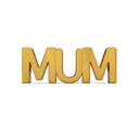Mom Charm